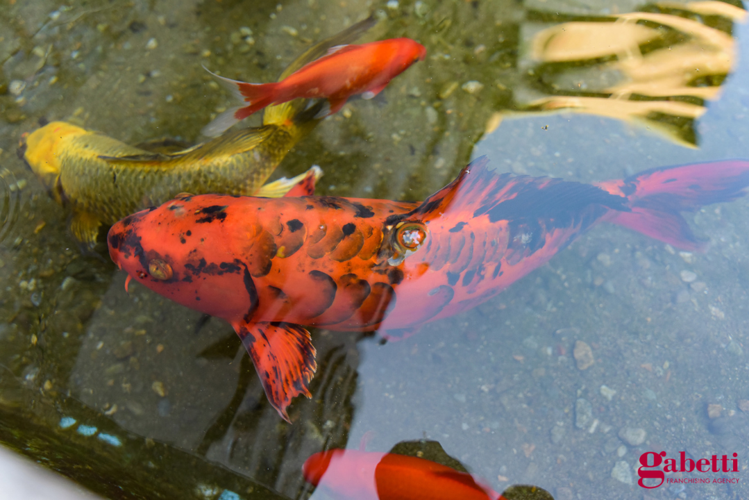 Appartamento - Image 12