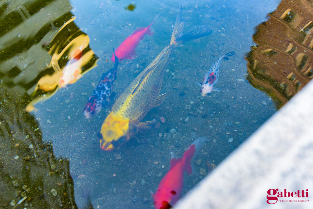 Appartamento - Image 11