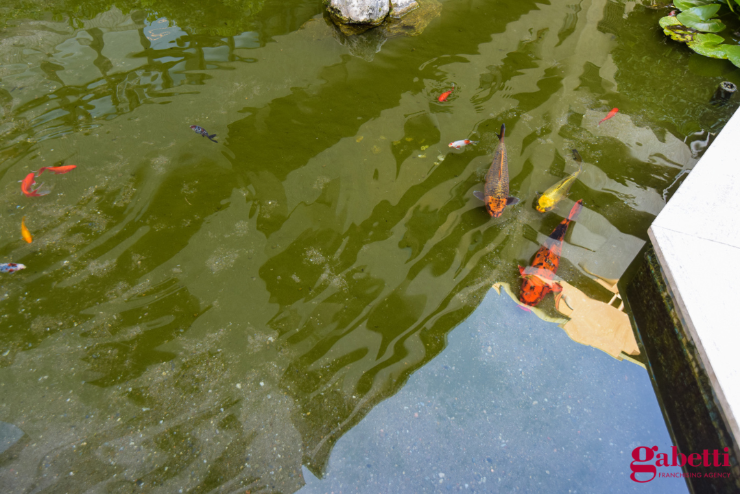 Appartamento - Image 9