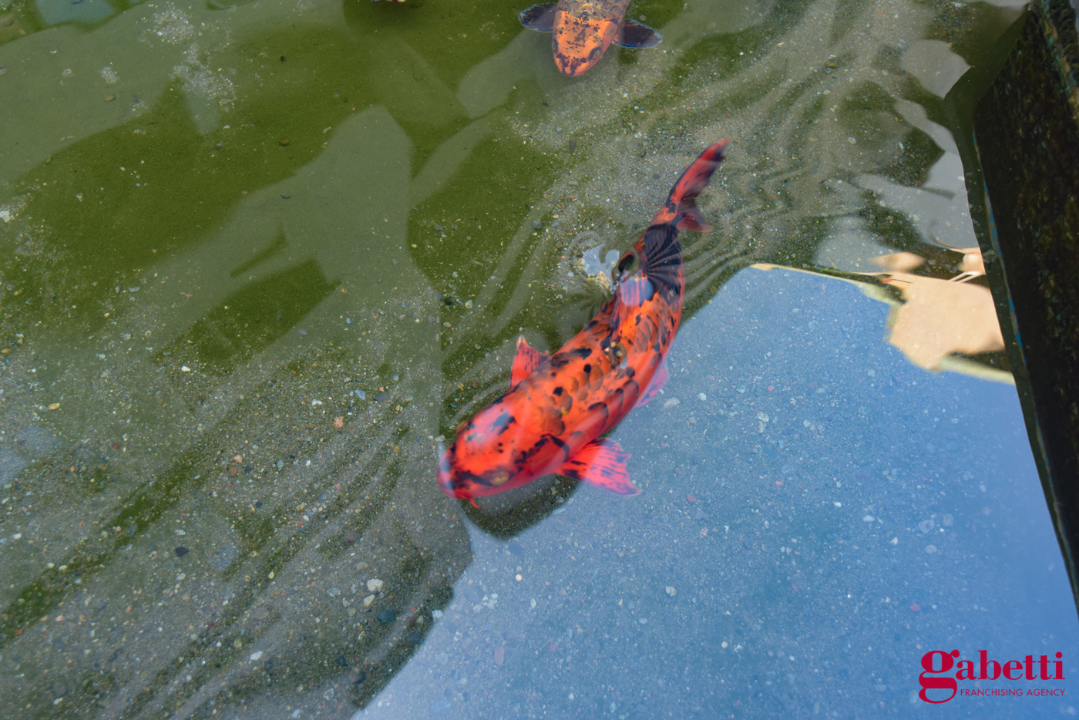 Appartamento - Image 10