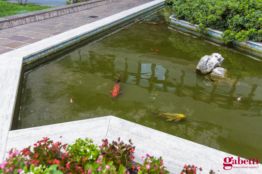 Appartamento - Image 7