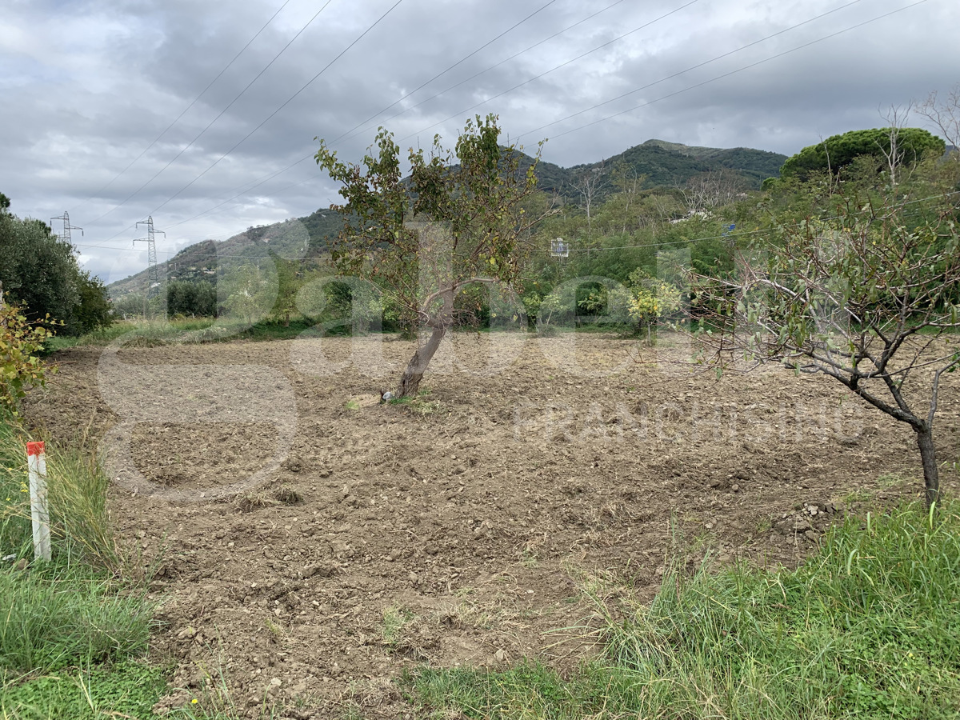 Casa Indipendente - Image 7