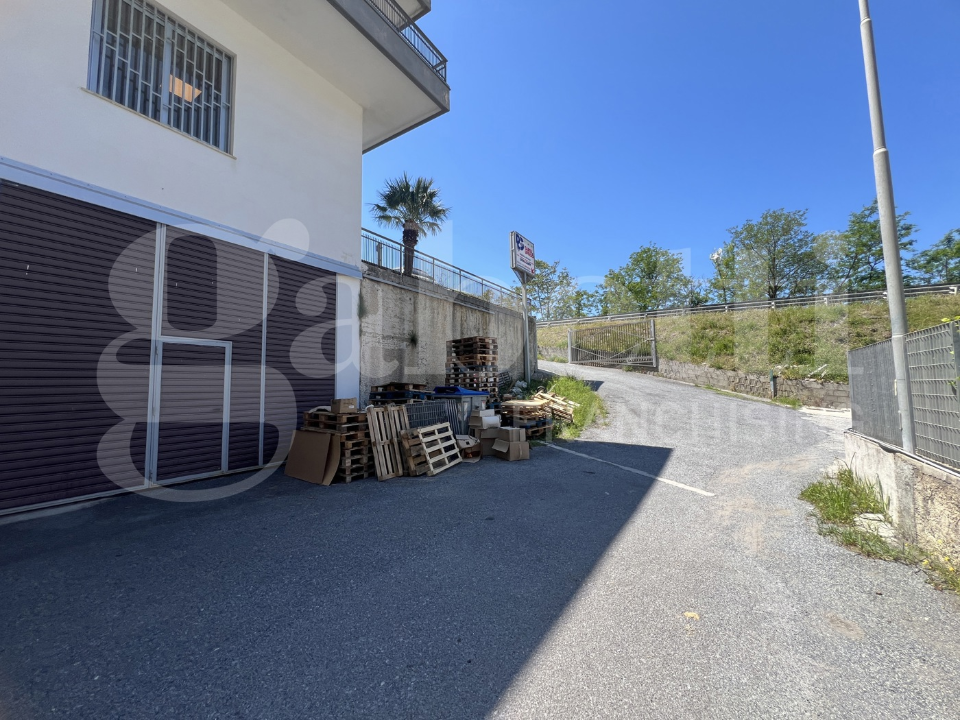 Magazzino - Image 11