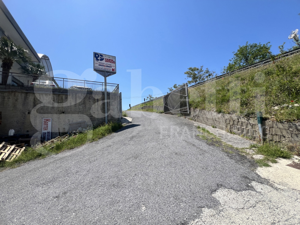 Magazzino - Image 13