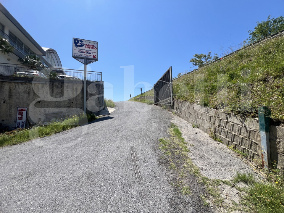 Magazzino - Image 14