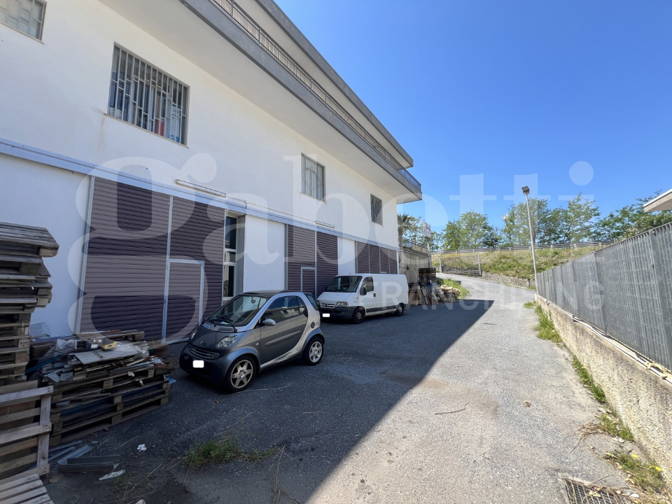 Magazzino - Image 10