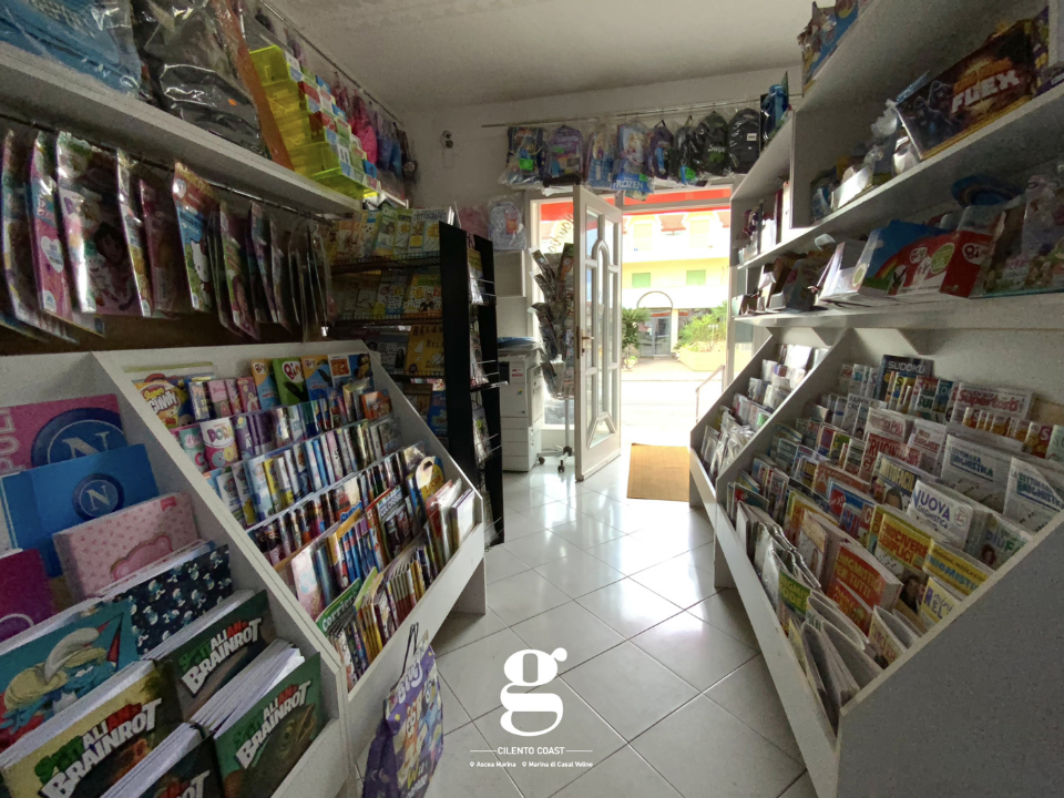 Attività - Image 10