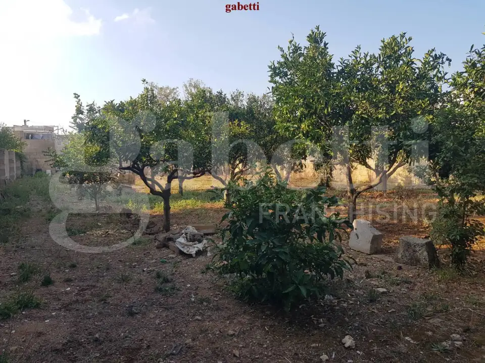 Casa Indipendente - Image 37