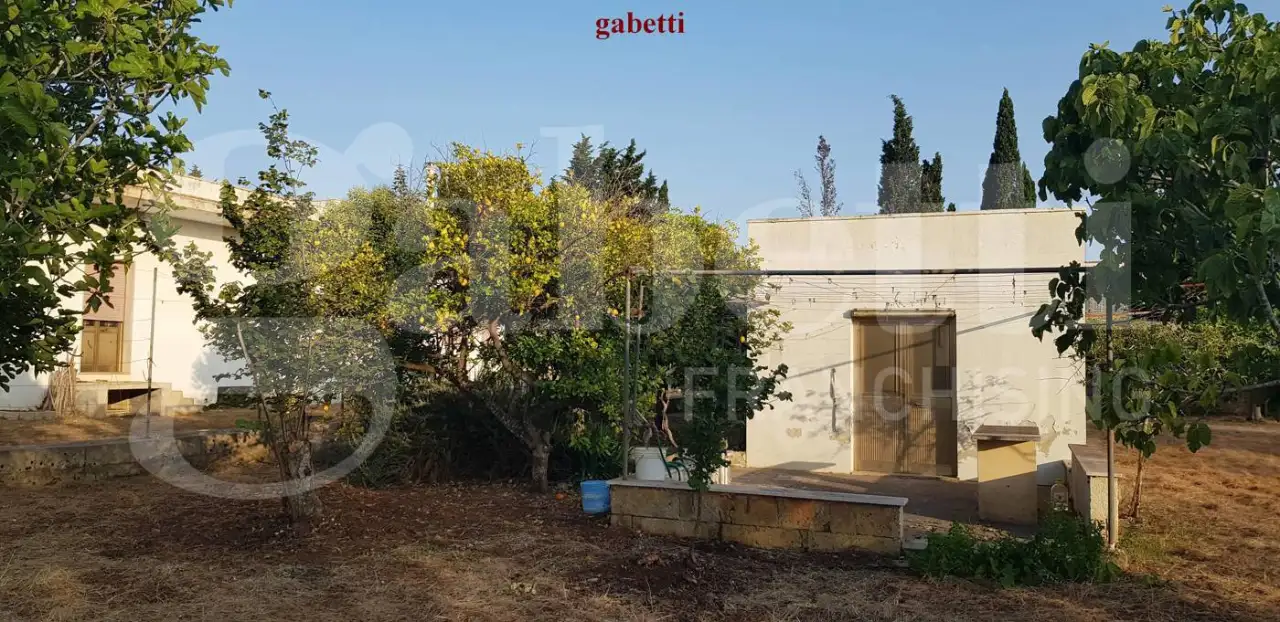 Magazzino - Image 10