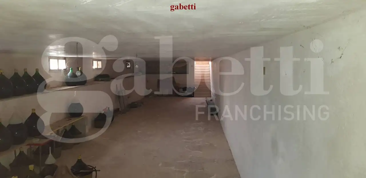 Magazzino - Image 15