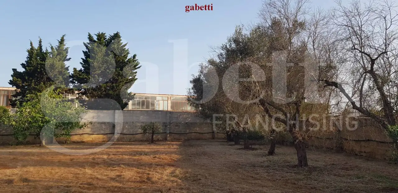 Magazzino - Image 20