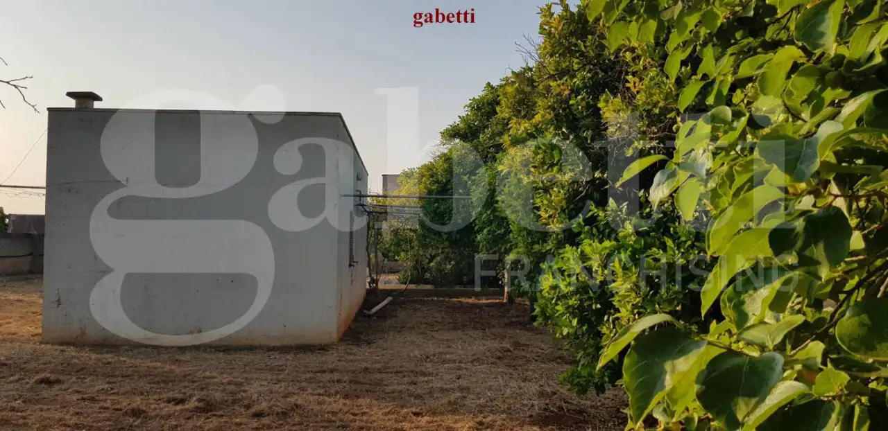 Magazzino - Image 18