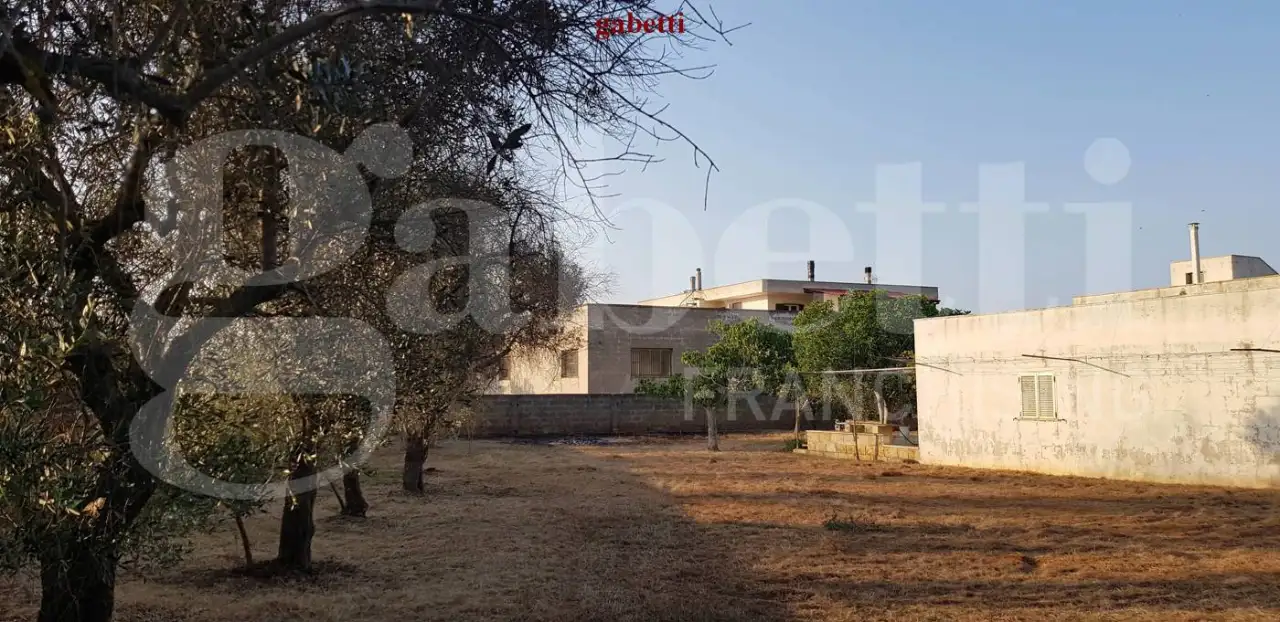 Magazzino - Image 19