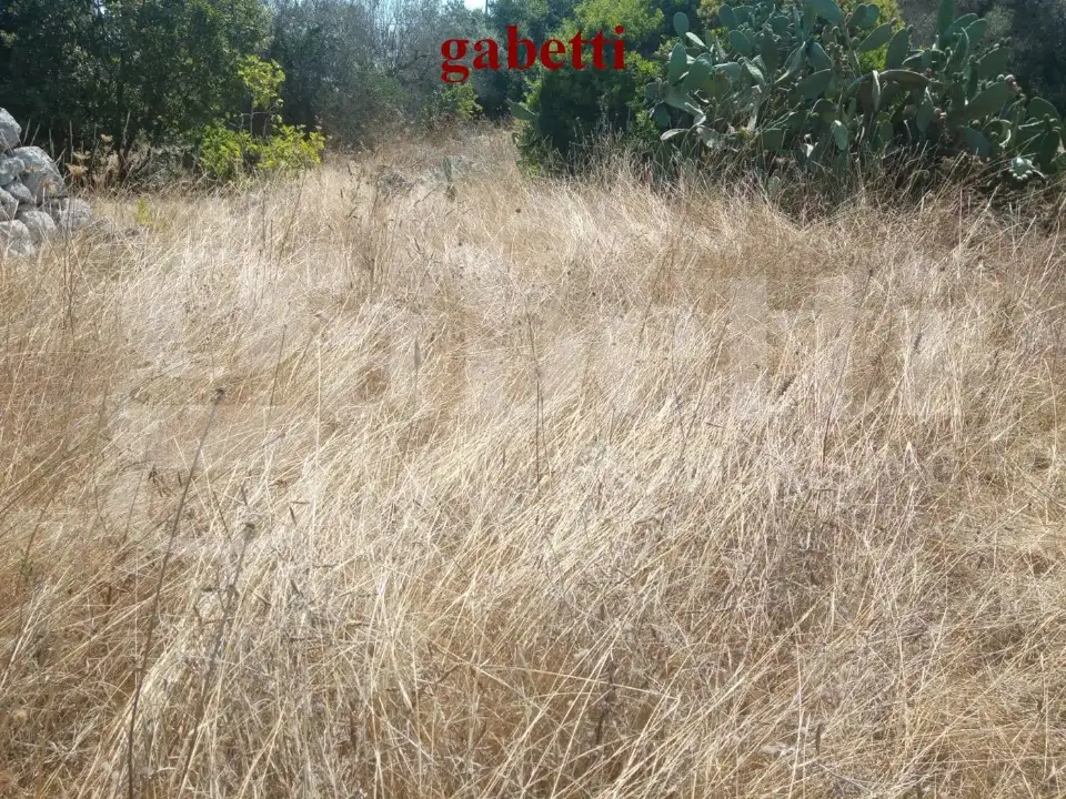 Casa Indipendente - Image 5