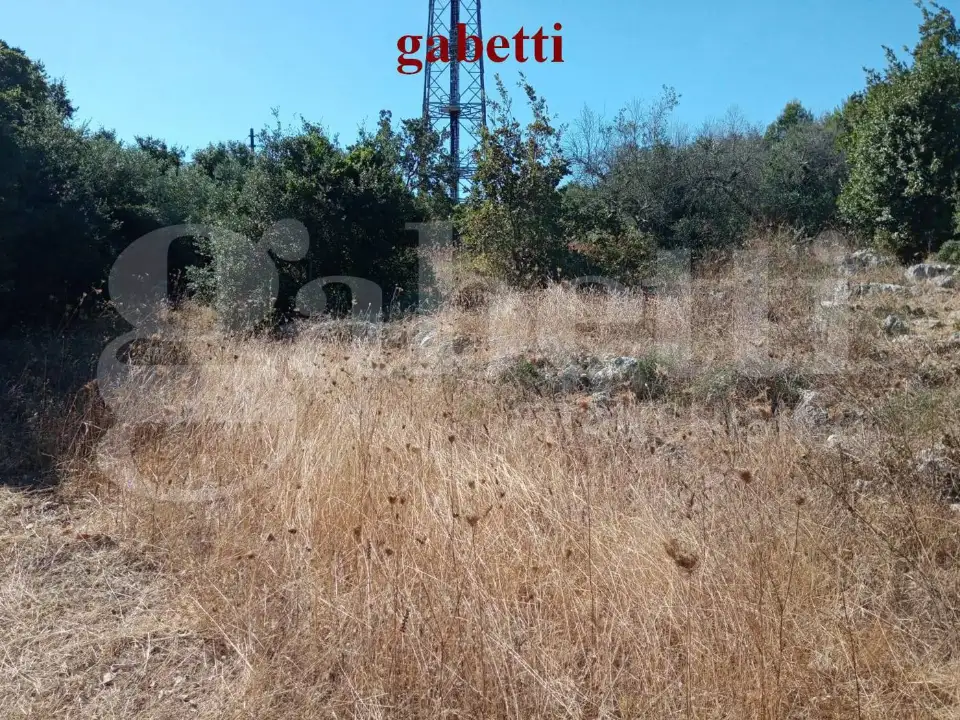 Casa Indipendente - Image 6