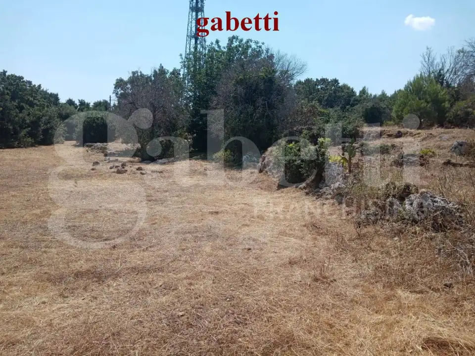 Casa Indipendente - Image 7