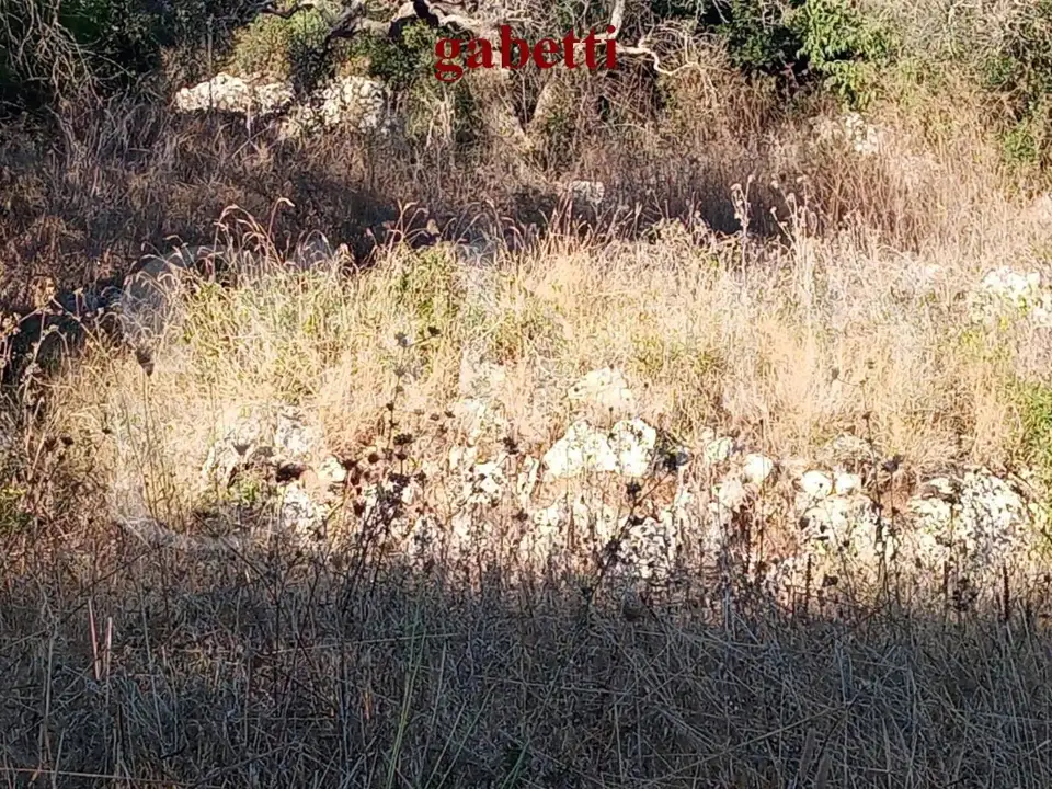 Casa Indipendente - Image 9
