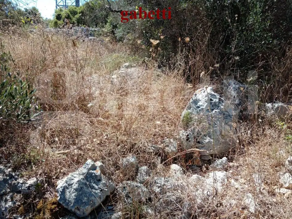 Casa Indipendente - Image 13