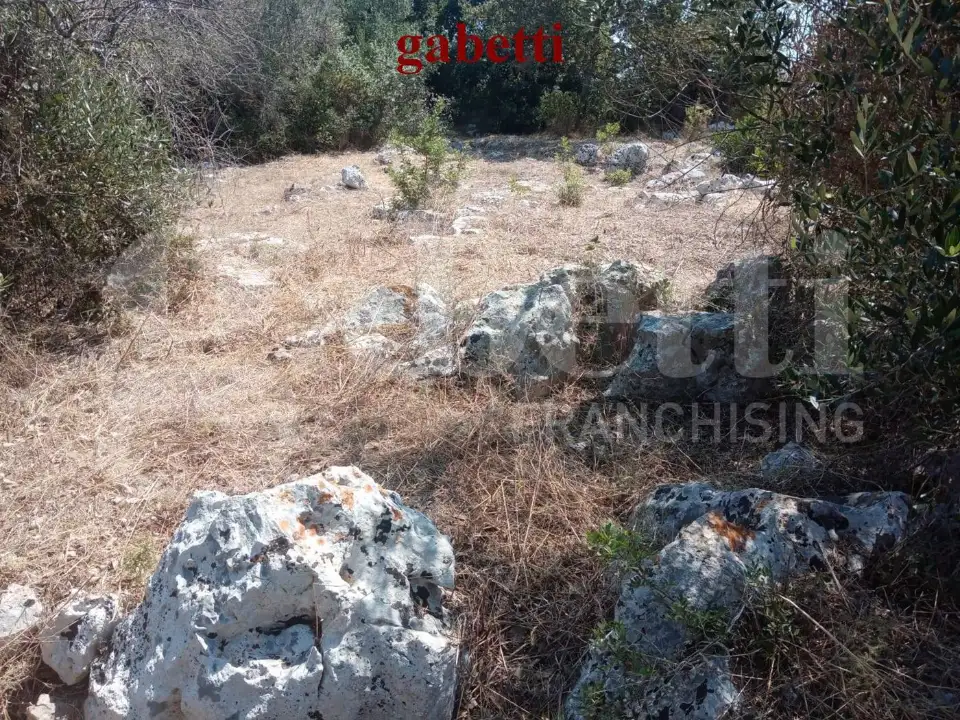 Casa Indipendente - Image 4