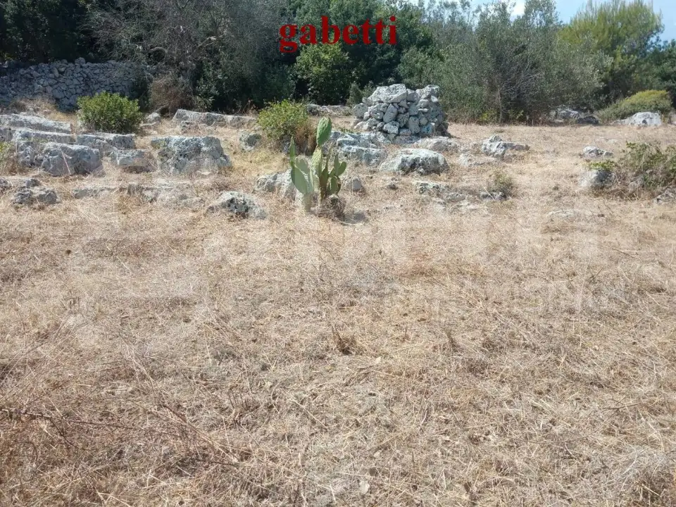 Casa Indipendente - Image 3