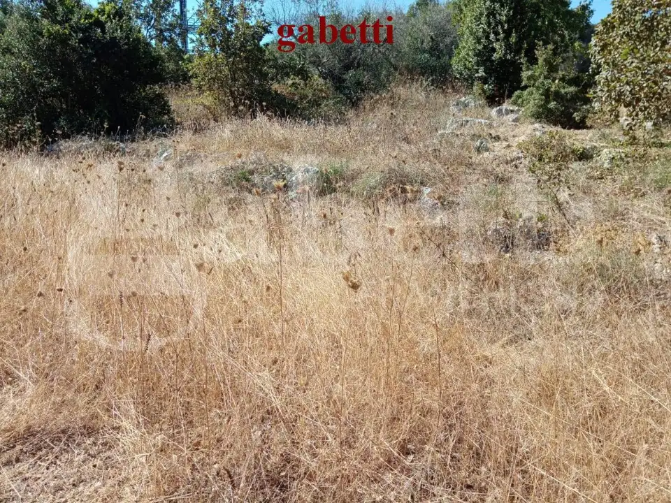 Casa Indipendente - Image 8