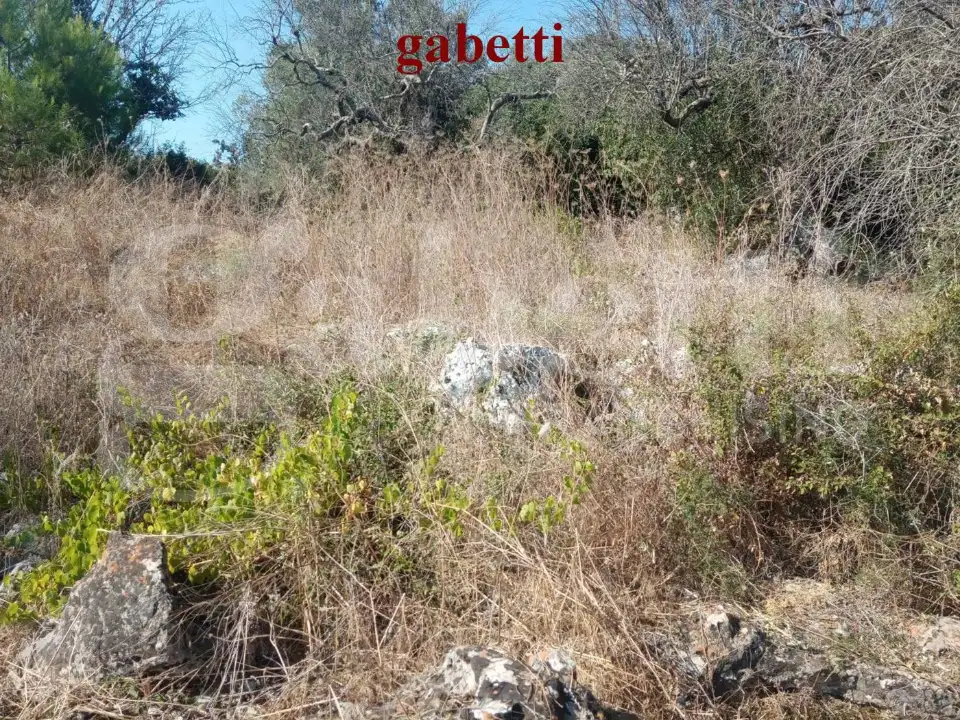 Casa Indipendente - Image 10