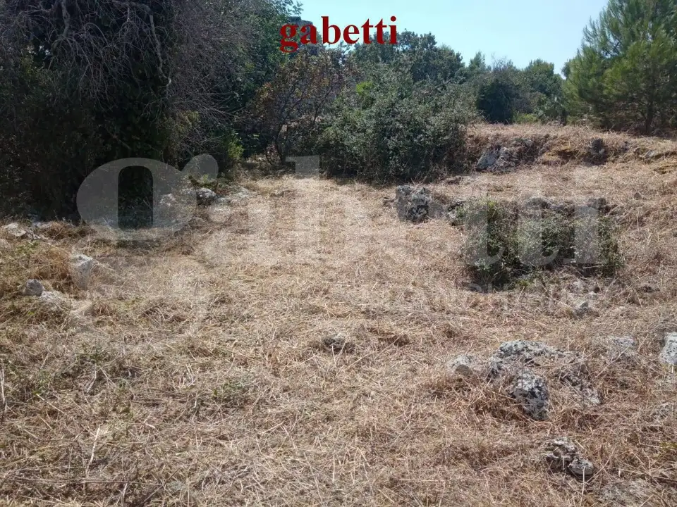 Casa Indipendente - Image 2