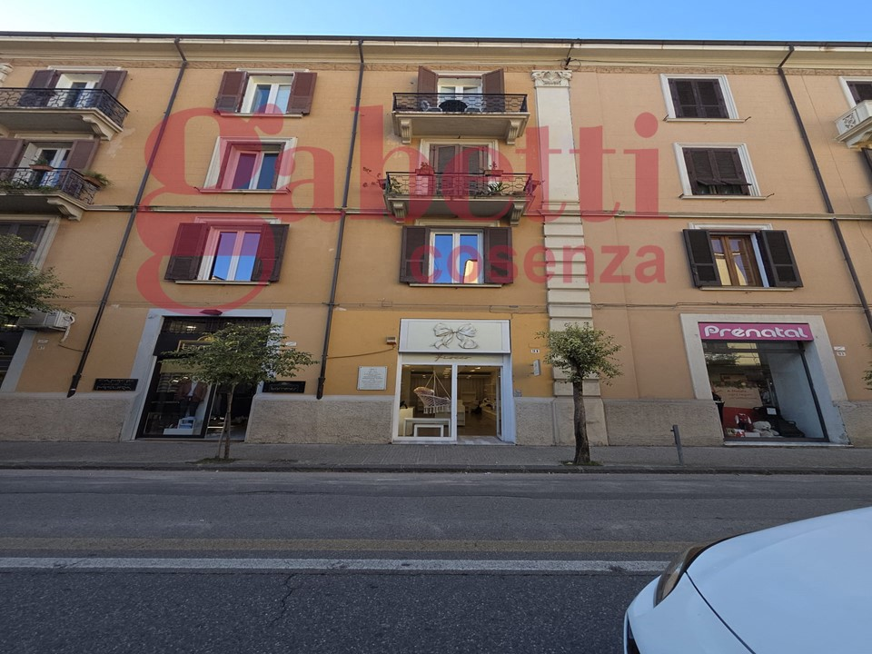 Magazzino - Image 10