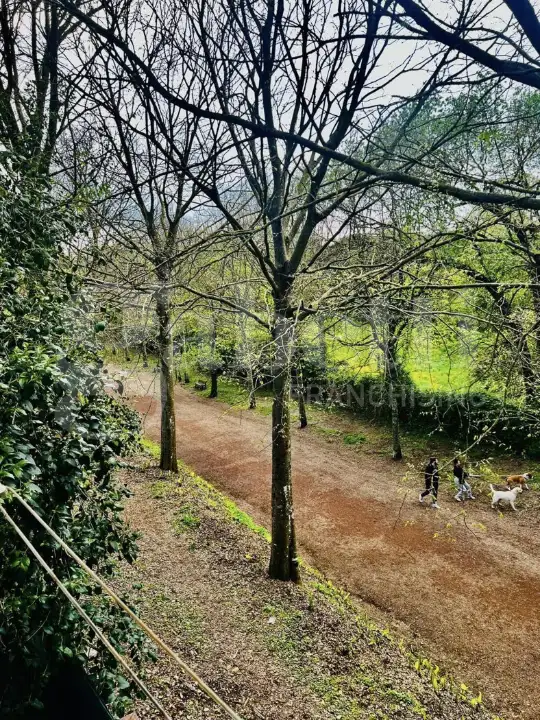 Appartamento - Image 2