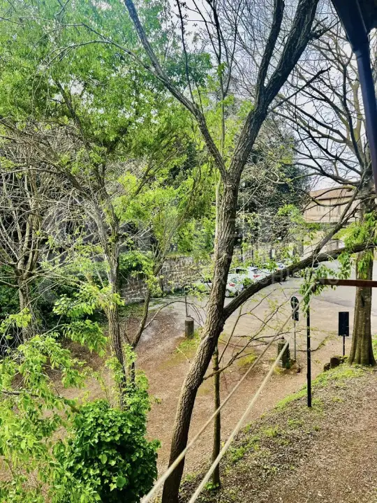 Appartamento - Image 5