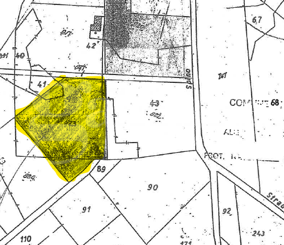 Terreno - Planimetry 1