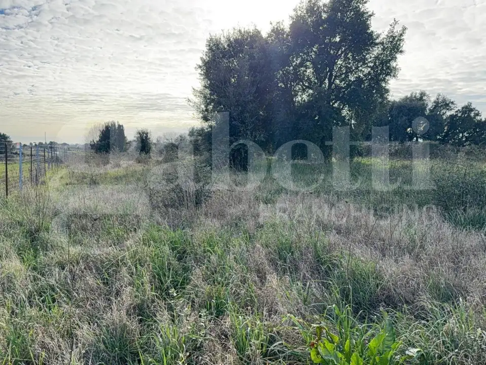 Terreno - Image 10