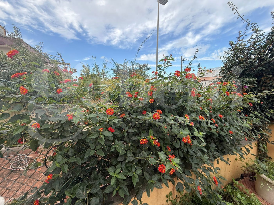 Appartamento - Image 19