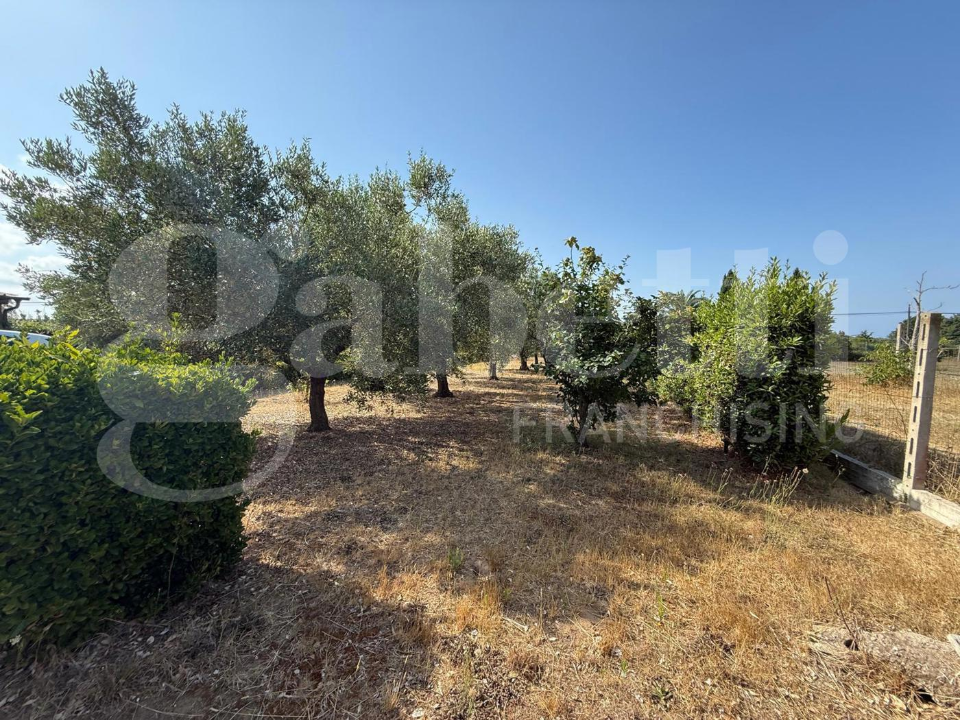Villa - Image 15