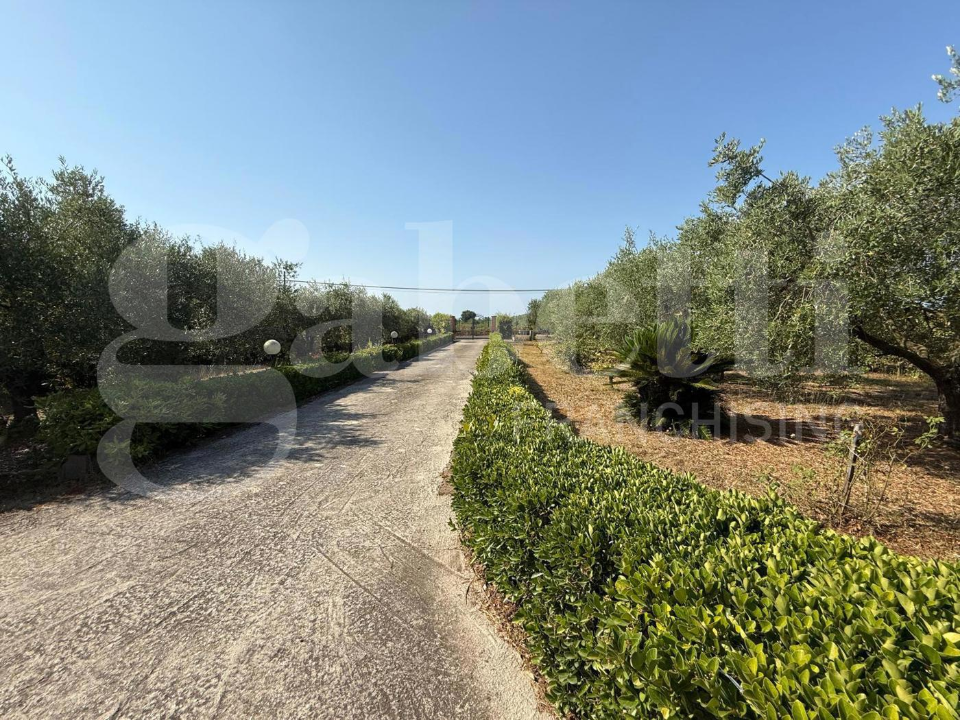 Villa - Image 39