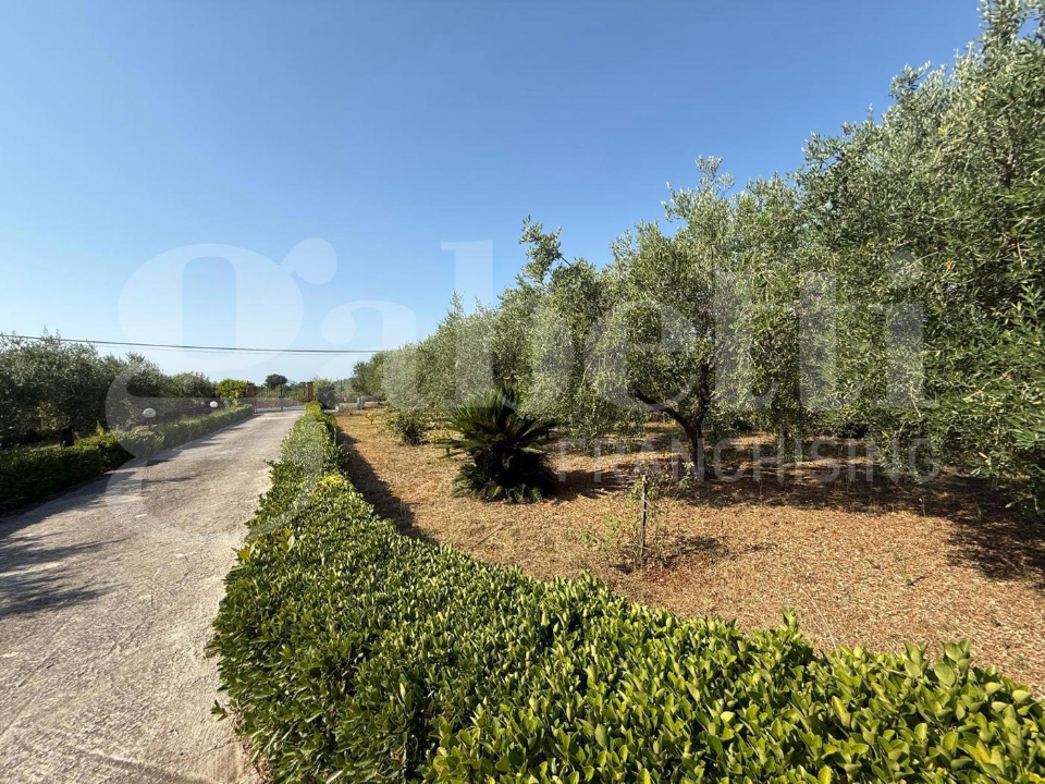 Villa - Image 37