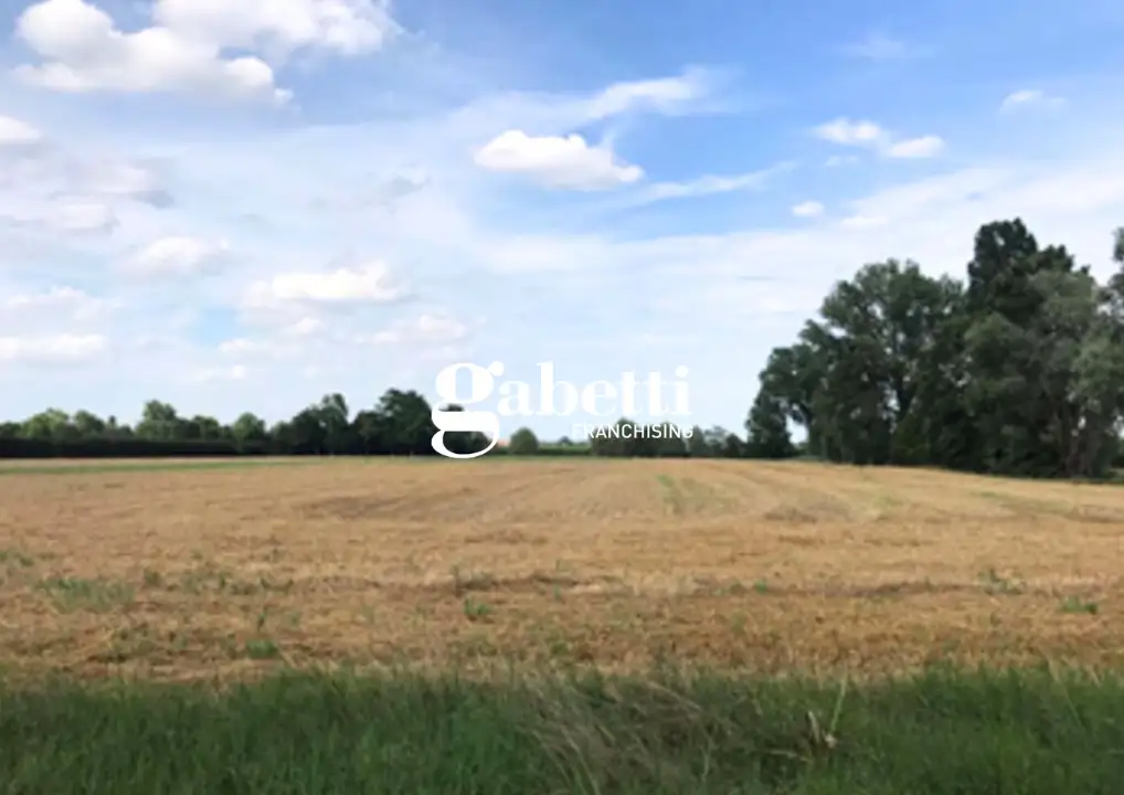 Casa Indipendente - Image 4