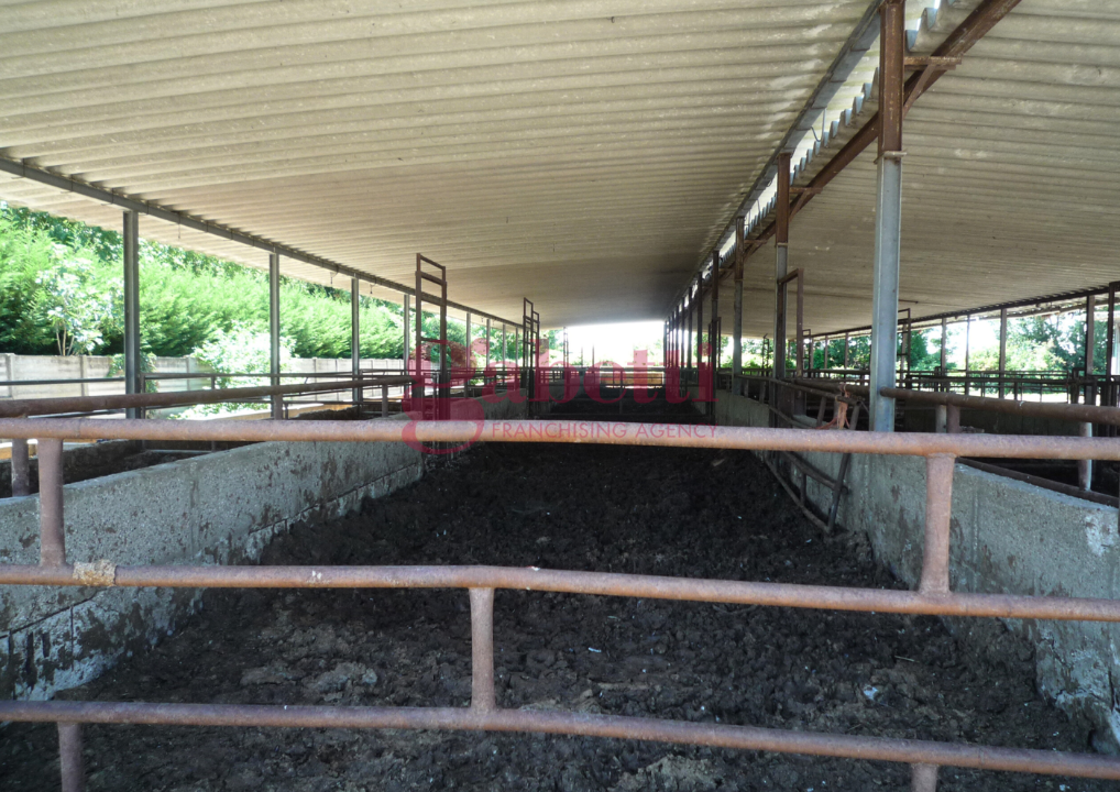 Complesso - Image 23