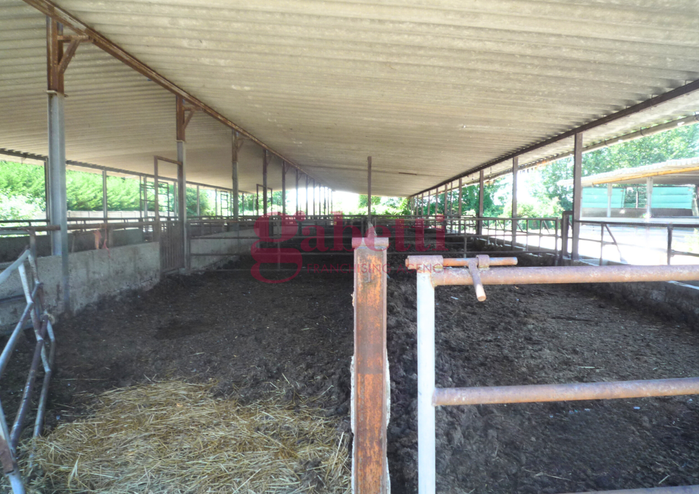 Complesso - Image 26