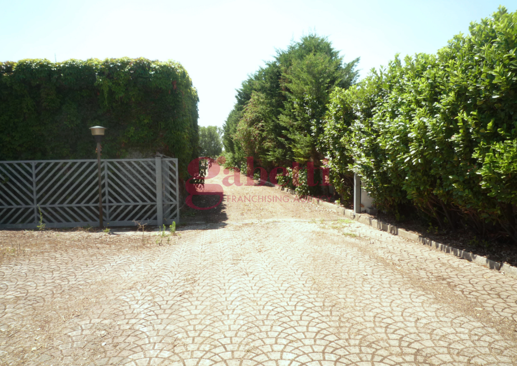 Complesso - Image 19