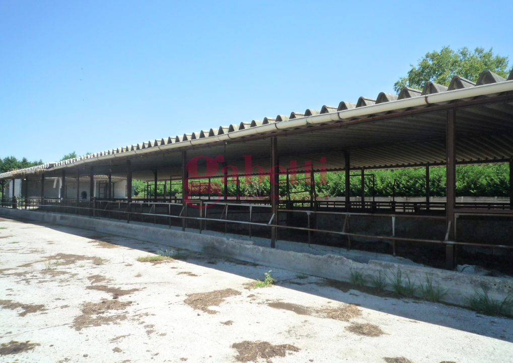 Complesso - Image 24