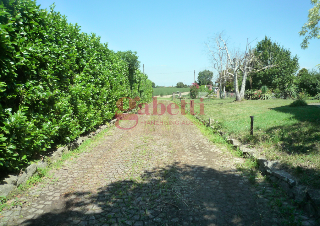 Complesso - Image 25