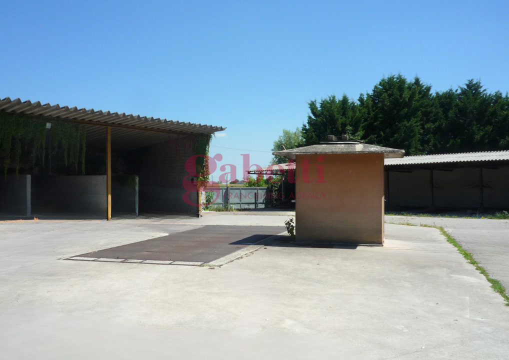 Complesso - Image 21