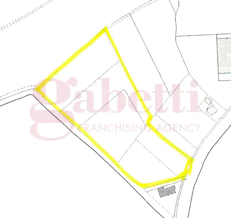 Terreno - Planimetry 1