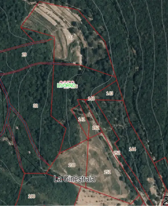 Terreno - Planimetry 1