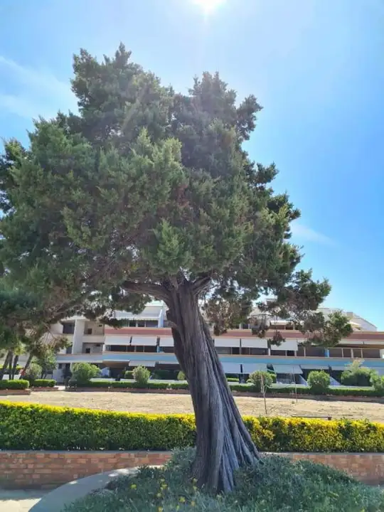 Appartamento - Image 17