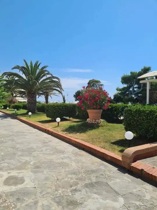 Appartamento - Image 13