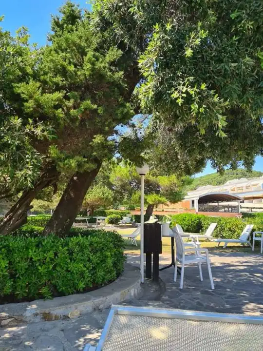 Appartamento - Image 30