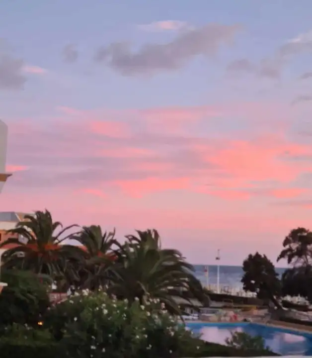 Appartamento - Image 4