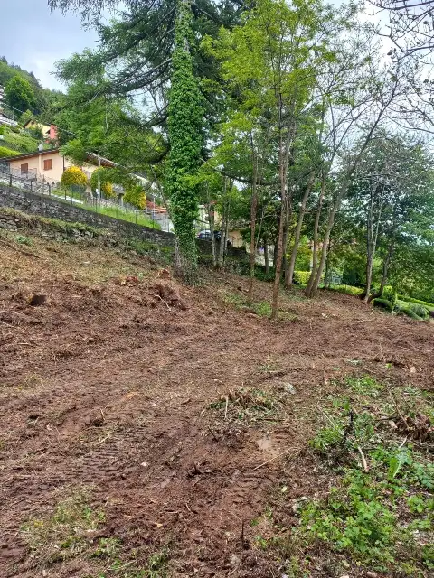 Terreno - Image 5